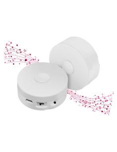 Grabadora de Voz XLW 195 Segundos para Juguetes Blancos 2P