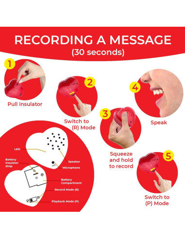 Grabadora de Voz EZSound para Peluches - Paquete de 2, 30 seg