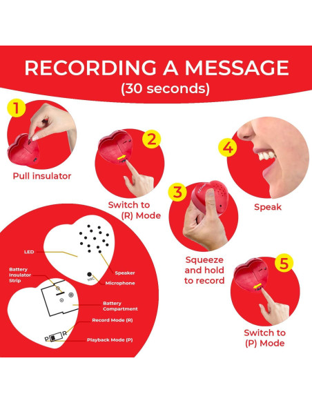 Grabadora de Voz EZSound para Peluches - Paquete de 2, 30 seg