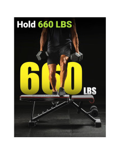 Banca de Pesas Ajustable Yoleo para Entrenamiento en Casa 2