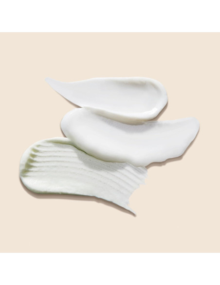 Rutina de Acné Proactiv Clean 3 Pasos + Parches Espinillas