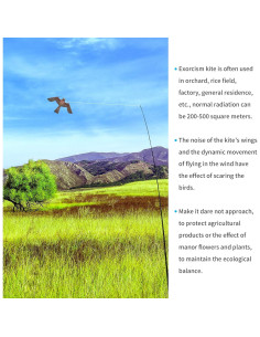 Cometa Ahuyentadora de Aves eyijklzo 4m Rojo para Cultivos 2