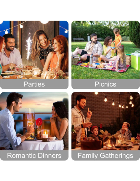 Bandeja Calentadora Eléctrica Edicc S-501 Plegable 1.57kg