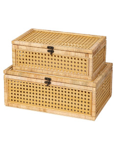 Juego de 2 Cajas de Ratán FORBRADS con Tapa - 38x25x15 cm