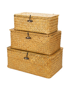 Conjunto de 3 cestas de almacenamiento Yesland con tapa