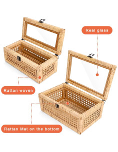 Juego de 2 Cajas Decorativas de Ratán con Tapa - Beige 2