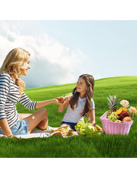 Cesta de Picnic de Mimbre Aikolesa Rosa 21x16x16 cm