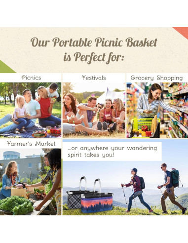 Cesta de Picnic Plegable Camp Casual CC-010GPB Gris 68.6x48.3cm