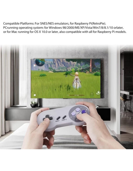 Paquete de 2 Controladores USB Ergonómicos USonline911 para PC y Raspberry Pi