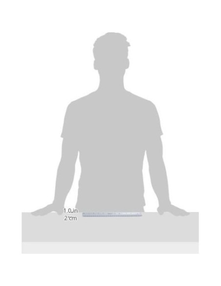 Regla Triangular de Ingeniería Staedtler 30 cm con 6 Escalas