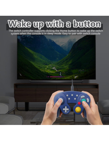 Controlador Inalámbrico Game-cube Bedaily para Switch/Purple
