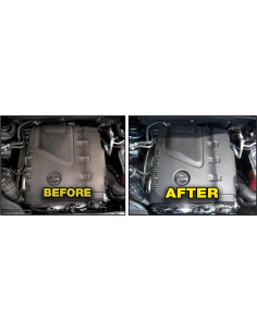 Limpiador de Auto P21S 13001B 1000 ml Pulverizador 2