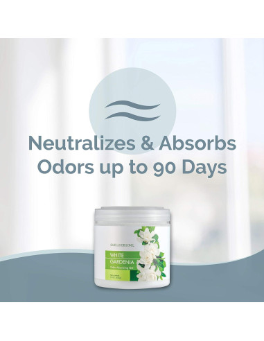 Gel Absorbente de Olores SMELLS BEGONE 425 g - Gardenia Blanca