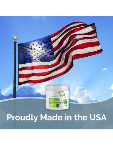 Gel Absorbente de Olores SMELLS BEGONE 425 g - Gardenia Blanca