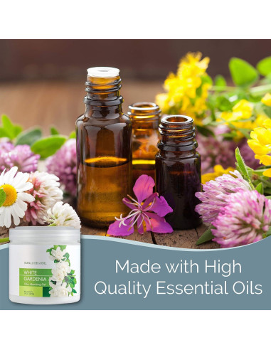 Gel Absorbente de Olores SMELLS BEGONE 425 g - Gardenia Blanca