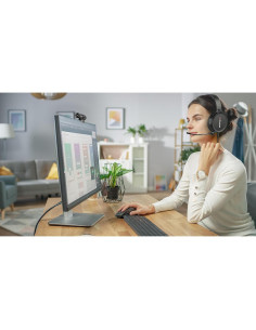 Kit Videoconferencia AVerMedia BO317 Webcam 1080p USB 2