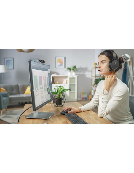 Kit Videoconferencia AVerMedia BO317 Webcam 1080p USB