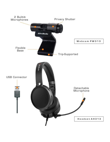 Kit Videoconferencia AVerMedia BO317 Webcam 1080p USB