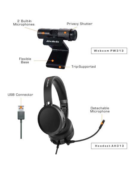Kit Videoconferencia AVerMedia BO317 Webcam 1080p USB
