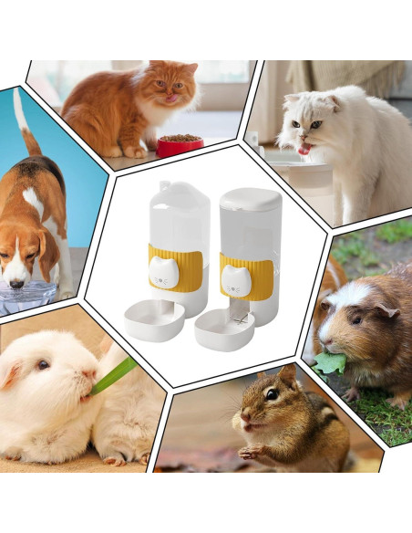 Comedero Automático y Dispensador de Agua SUPERPAWS para Conejos