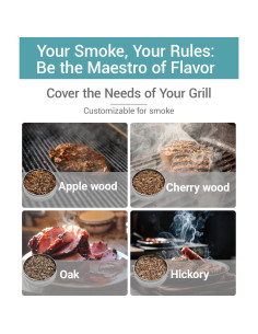 Generador de Humo GANGSHELO Eléctrico Portátil 2.6 kg 2