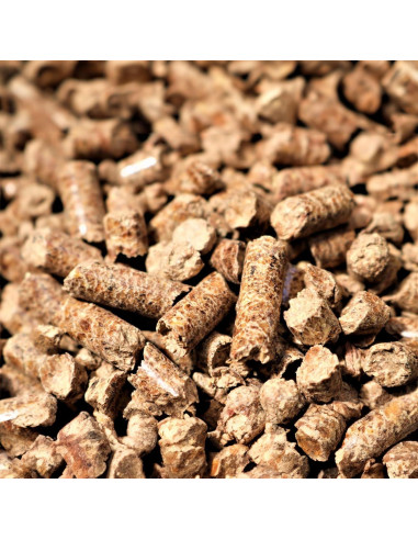 Paquete de 2 Pellets de Madera Dura Bear Mountain 9.07 kg Hickory