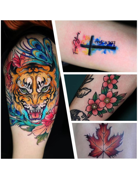 Kit Máquina de Tatuaje Inalámbrica Solong 1500mAH con 20 Agujas Kit Máquina de Tatuaje Inalámbrica Solong 1500mAH con 20 Agujas