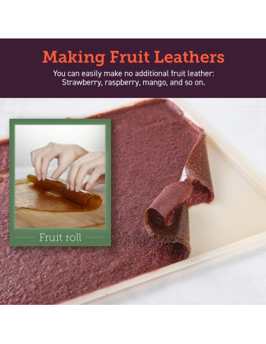 Deshidratador de Alimentos COSORI C267-2FR, 5 Bandejas Acero Inoxidable