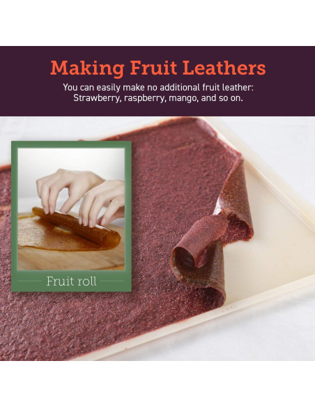 Deshidratador de Alimentos COSORI C267-2FR, 5 Bandejas Acero Inoxidable