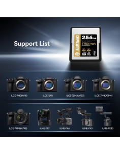 Tarjeta CFexpress 4.0 Tipo A 256GB CHIPFANCIER Vel. 1750MB/s 2