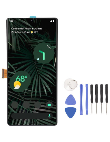 Pantalla de Reemplazo para Pixel 6 Pro 5G Sanpyl 6.7" HD