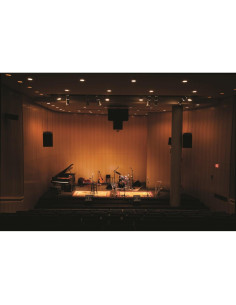 Micrófono de Condensador Shure KSM141 Estéreo con Accesorios 2