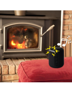 Caja de Sonido Portátil Roamoris FS02 con 190+ Música 2