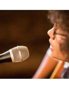 Micrófono dinámico cardioide Beyerdynamic TG-V50 para voces 2