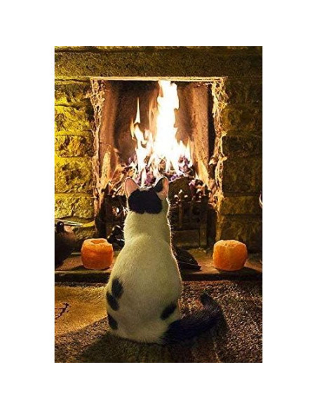 Control de Velocidad Hongso para Ventilador de Chimenea Control de Velocidad Hongso para Ventilador de Chimenea