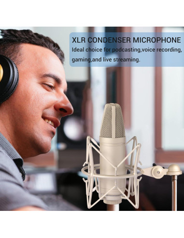 Micrófono de Condensador XLR SUUNTOK BM6000 Plata con Soporte