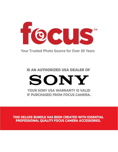 Reproductor de Audio Digital Sony NW-A306 Walkman 334g con Funda