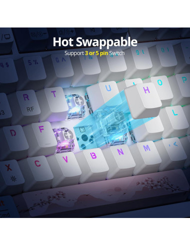 Teclado Mecánico Inalámbrico 75% FS SHOP Rosa 82 Teclas RGB