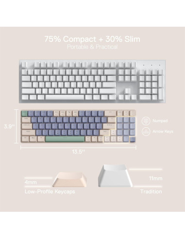 Combo Teclado y Ratón Inalámbrico Redragon BS135 78 Teclas