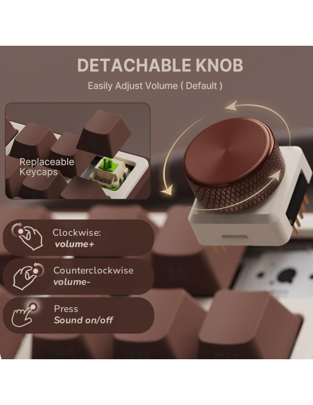 Teclado Mecánico Inalámbrico RK Royal Kludge R87 Pro RGB 75%