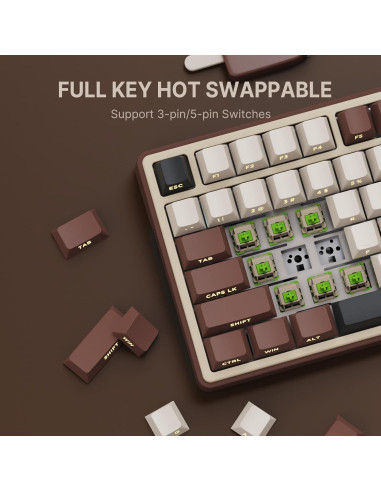 Teclado Mecánico Inalámbrico RK Royal Kludge R87 Pro RGB 75%