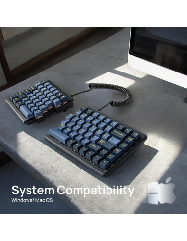 Teclado Mecánico Ergonómico MISTEL MD770 TKL Bluetooth 5.0