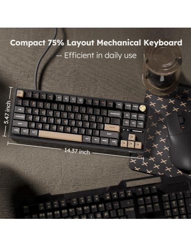 Teclado Mecánico RK Royal Kludge R87 Pro TKL 88 Teclas RGB