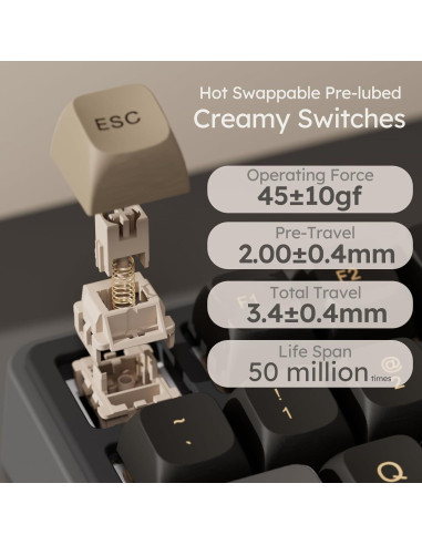 Teclado Mecánico RK Royal Kludge R87 Pro TKL 88 Teclas RGB