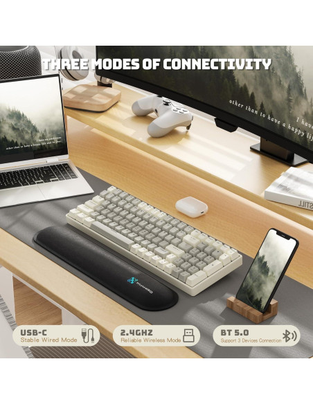 Teclado Mecánico Inalámbrico Taiahiro BK6302 Retro RGB 100 Teclas