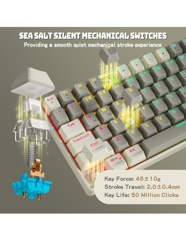 Teclado Mecánico Inalámbrico Taiahiro BK6302 Retro RGB 100 Teclas