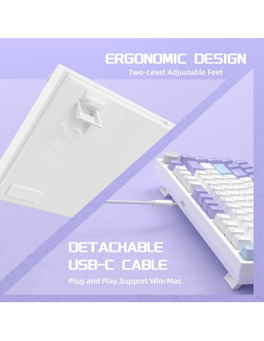 Teclado Mecánico Gaming AJAZZ AK820 75% USB-C RGB Personalizable