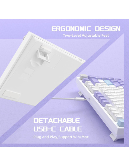 Teclado Mecánico Gaming AJAZZ AK820 75% USB-C RGB Personalizable