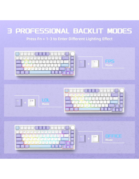 Teclado Mecánico Gaming AJAZZ AK820 75% USB-C RGB Personalizable