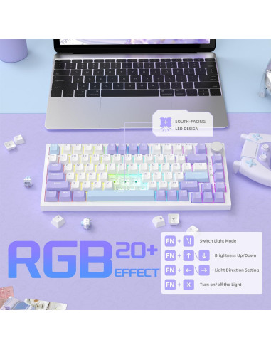 Teclado Mecánico Gaming AJAZZ AK820 75% USB-C RGB Personalizable